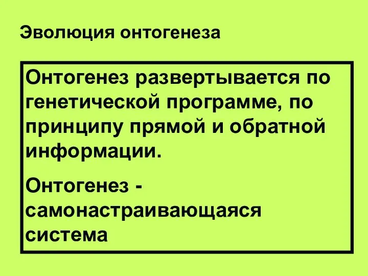 Онтогенез развертывается по генетической программе, по принципу прямой и обратной информации.