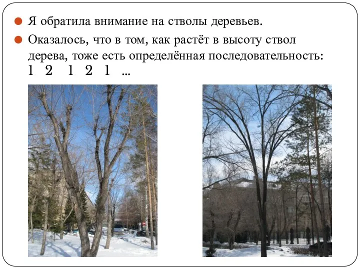 Я обратила внимание на стволы деревьев. Оказалось, что в том, как