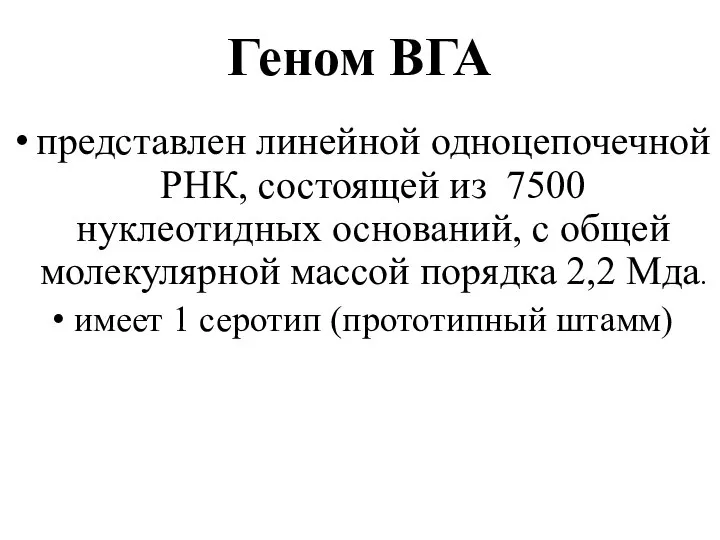 Геном ВГА представлен линейной одноцепочечной РНК, состоящей из 7500 нуклеотидных оснований,