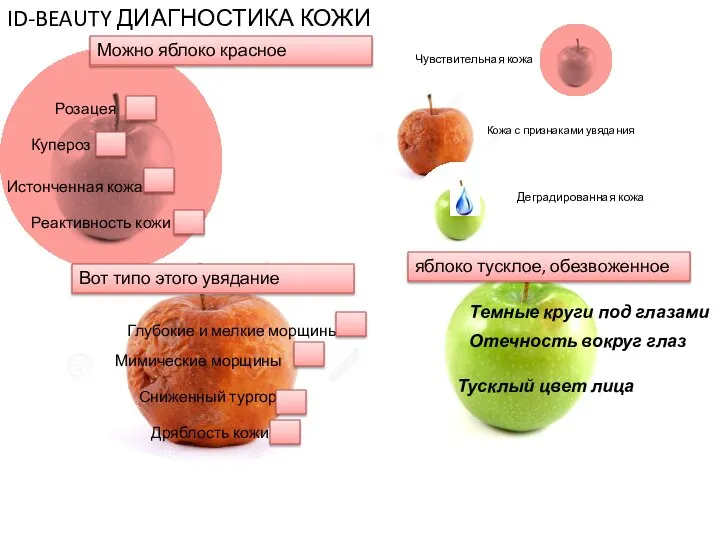 ID-BEAUTY ДИАГНОСТИКА КОЖИ Чувствительная кожа Реактивность кожи Истонченная кожа Розацея Купероз