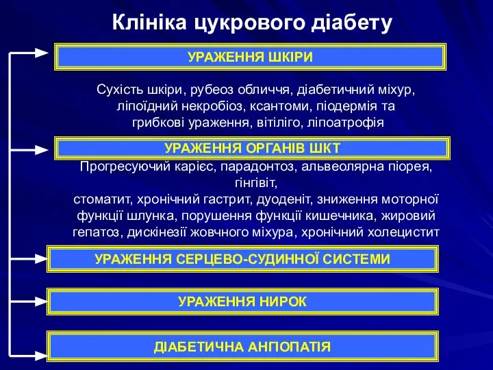 Клініка цукрового діабету УРАЖЕННЯ ШКІРИ УРАЖЕННЯ ОРГАНІВ ШКТ УРАЖЕННЯ СЕРЦЕВО-СУДИННОЇ СИСТЕМИ