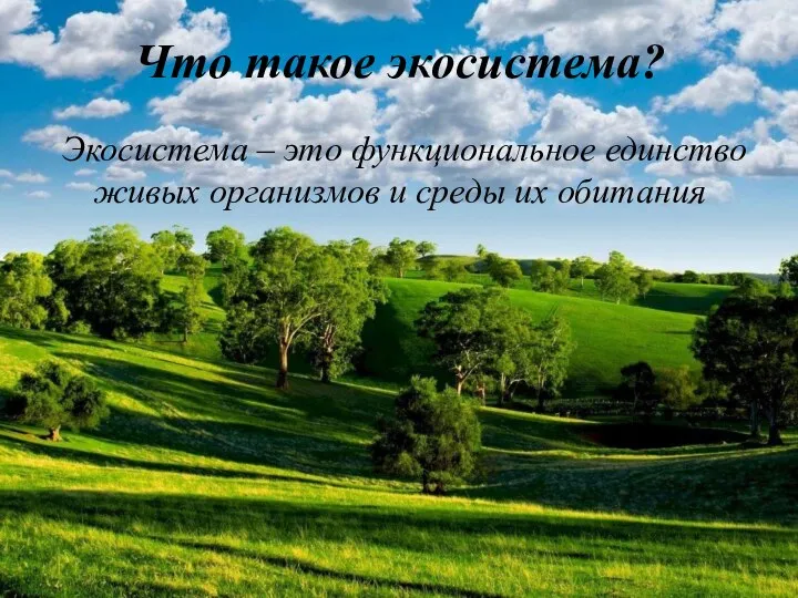 Что такое экосистема? Экосистема ­­– это функциональное единство живых организмов и среды их обитания