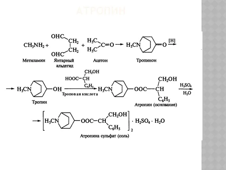 АТРОПИН Троповая кислота