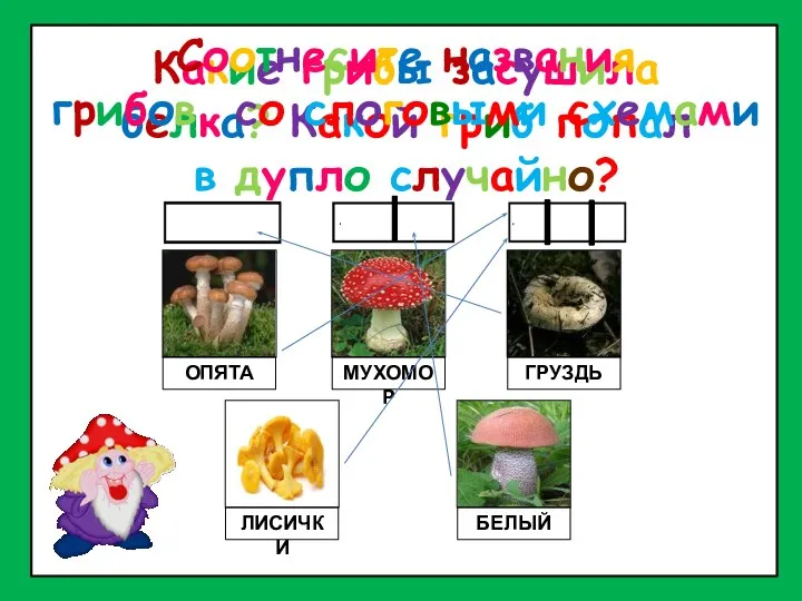 Какие грибы засушила белка? Какой гриб попал в дупло случайно? ОПЯТА