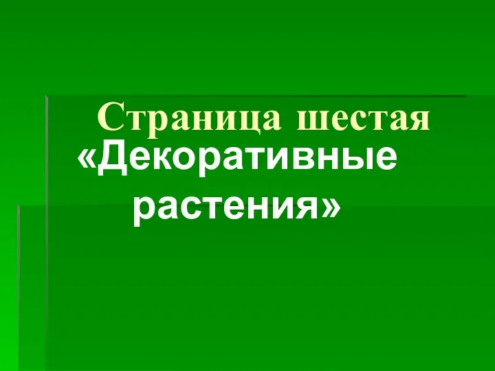 Страница шестая «Декоративные растения»