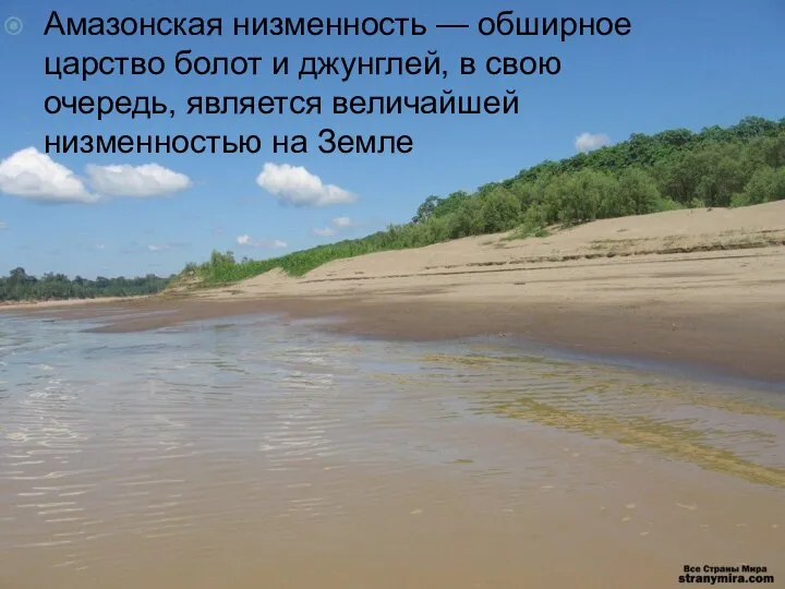 Амазонская низменность — обширное царство болот и джунглей, в свою очередь, является величайшей низменностью на Земле