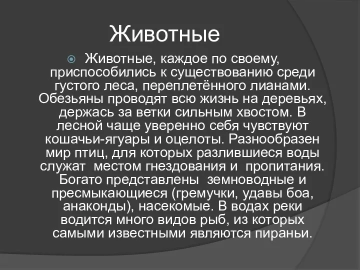 Животные Животные, каждое по своему, приспособились к существованию среди густого леса,