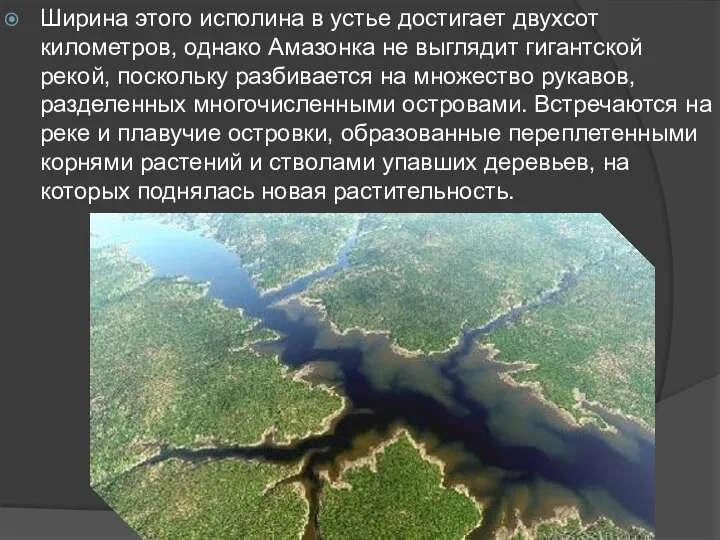 Ширина этого исполина в устье достигает двухсот километров, однако Амазонка не