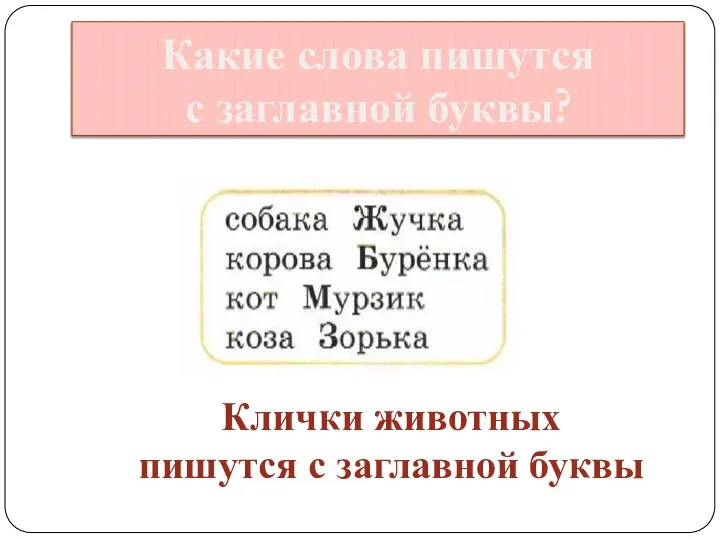 Какие слова пишутся с заглавной буквы? Клички животных пишутся с заглавной буквы