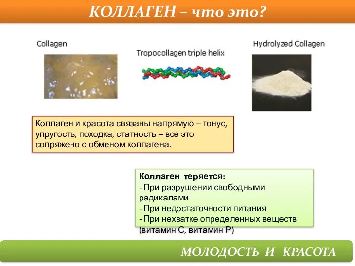 КОЛЛАГЕН – что это? МОЛОДОСТЬ И КРАСОТА Коллаген теряется: - При