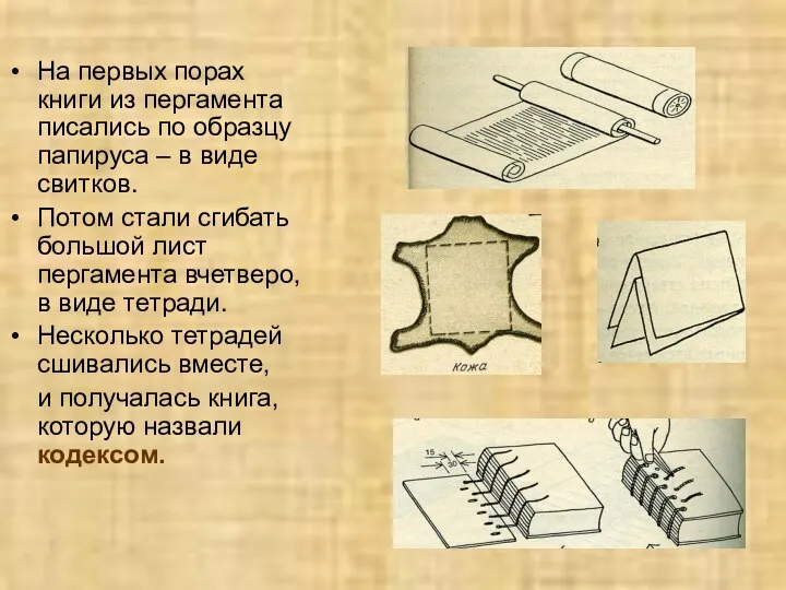 На первых порах книги из пергамента писались по образцу папируса –