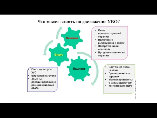 Что может влиять на достижение УВО? Опыт предшествующей терапии Включение рибавирина