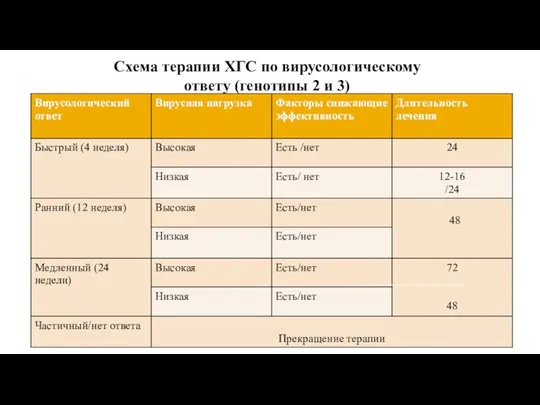 Схема терапии ХГС по вирусологическому ответу (генотипы 2 и 3)