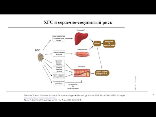 ХГС и сердечно-сосудистый риск Drazilova S. et al. Canadian Journal of