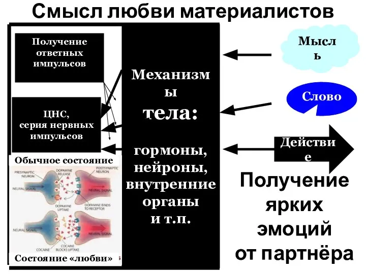 Мысль Смысл любви материалистов Действие Слово Получение ответных импульсов Механизмы тела: