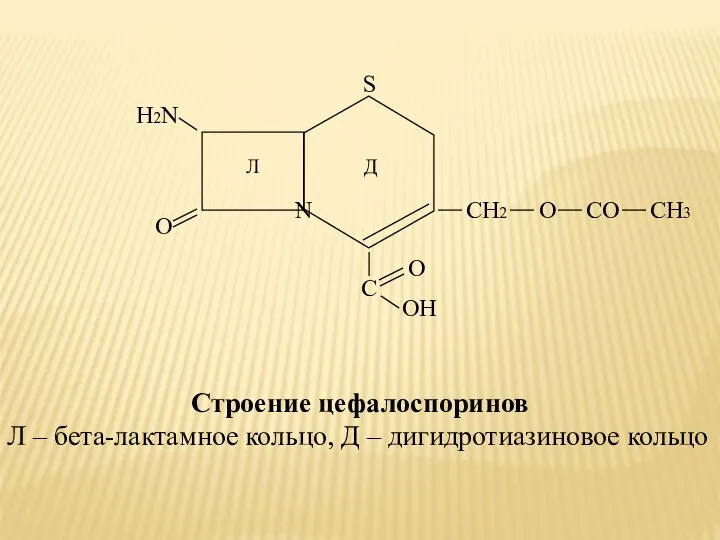 Строение цефалоспоринов Л – бета-лактамное кольцо, Д – дигидротиазиновое кольцо CH2