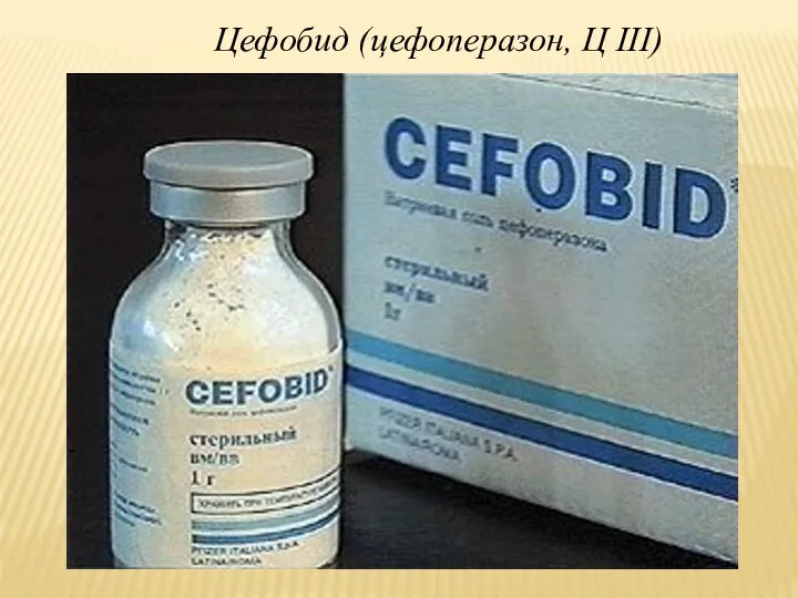 Цефобид (цефоперазон, Ц III)