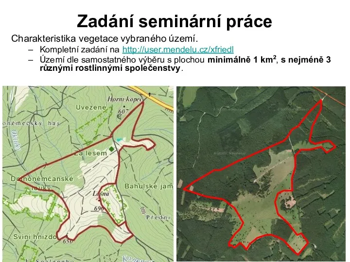 Zadání seminární práce Charakteristika vegetace vybraného území. Kompletní zadání na http://user.mendelu.cz/xfriedl