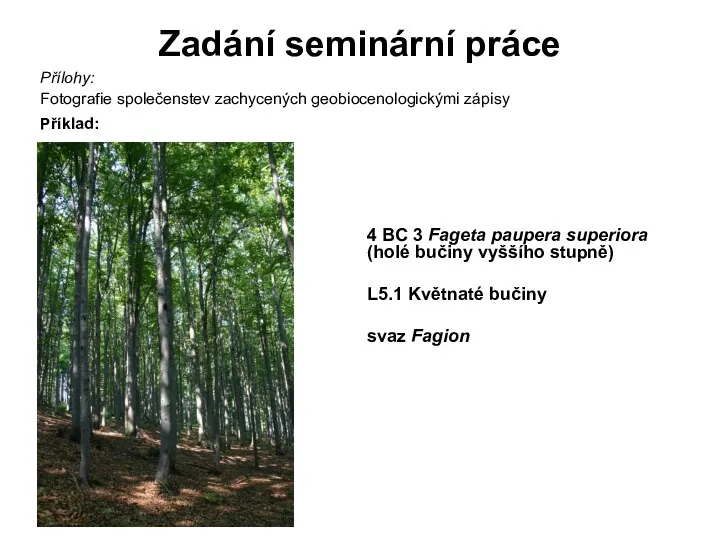 Zadání seminární práce Přílohy: Fotografie společenstev zachycených geobiocenologickými zápisy Příklad: 4