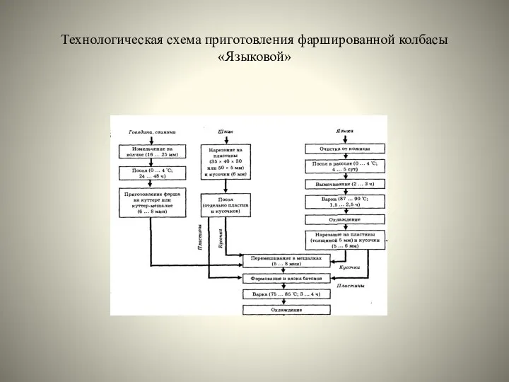 Технологическая схема приготовления фаршированной колбасы «Языковой»