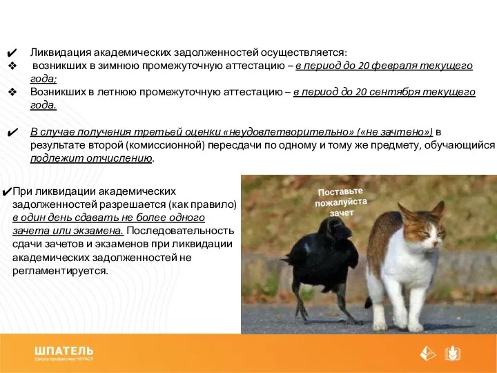 Ликвидация академических задолженностей осуществляется: возникших в зимнюю промежуточную аттестацию – в