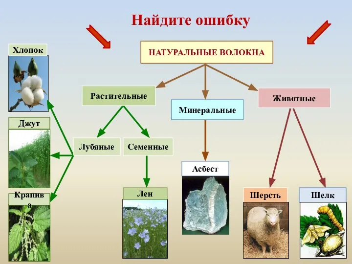 Животные Минеральные Хлопок Шерсть Шелк Асбест Семенные Джут Крапива НАТУРАЛЬНЫЕ ВОЛОКНА Найдите ошибку Лубяные Лен Растительные