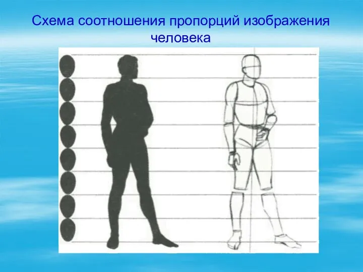 Схема соотношения пропорций изображения человека