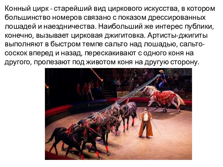 Конный цирк - старейший вид циркового искусства, в котором большинство номеров