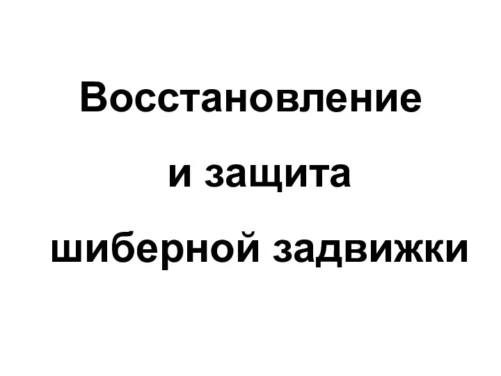 Восстановление и защита шиберной задвижки