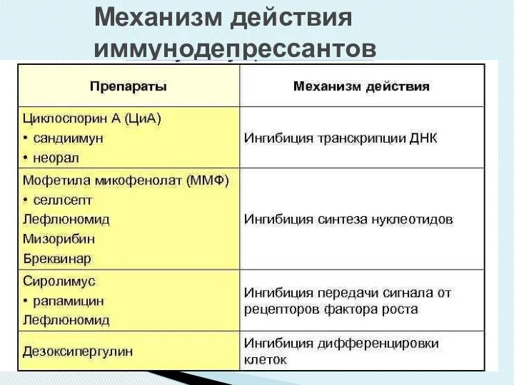 Механизм действия иммунодепрессантов