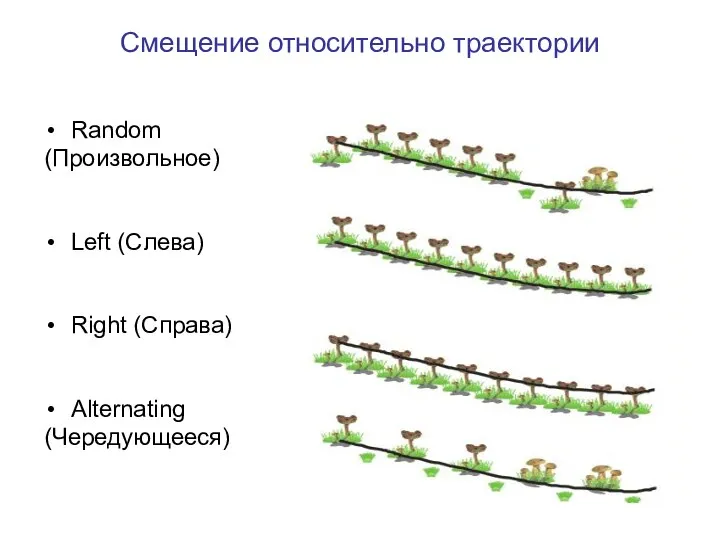 Смещение относительно траектории Random (Произвольное) Left (Слева) Right (Справа) Alternating (Чередующееся)