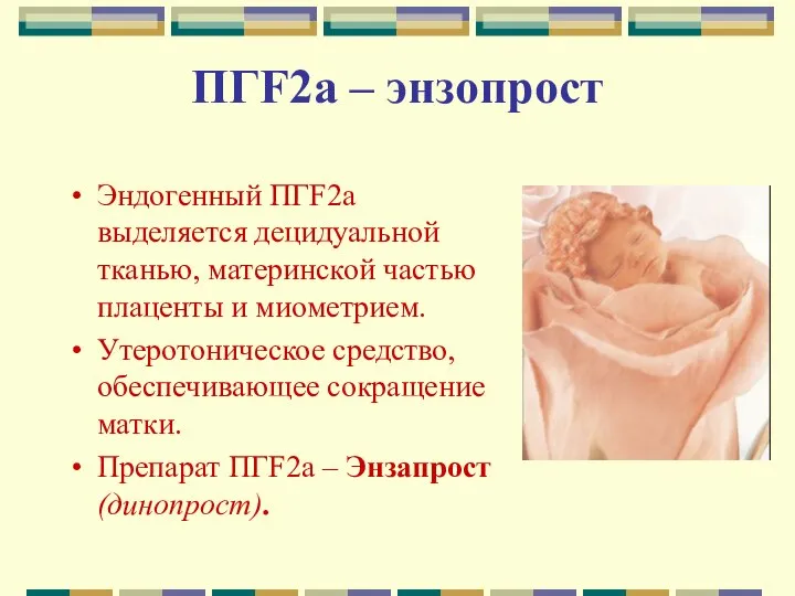 ПГF2а – энзопрост Эндогенный ПГF2а выделяется децидуальной тканью, материнской частью плаценты