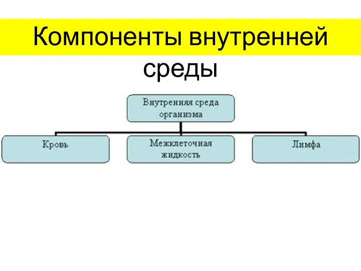 Компоненты внутренней среды