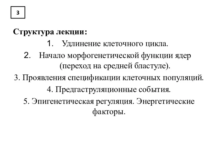 3 Структура лекции: Удлинение клеточного цикла. Начало морфогенетической функции ядер (переход