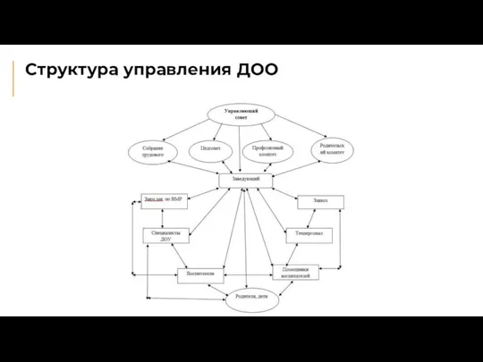 Структура управления ДОО