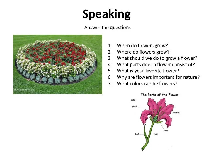 Speaking Answer the questions When do flowers grow? Where do flowers