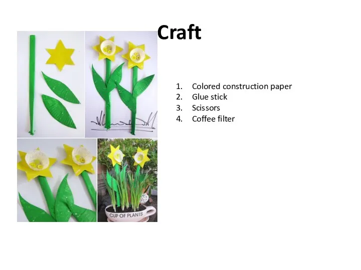 Craft Colored construction paper Glue stick Scissors Coffee filter