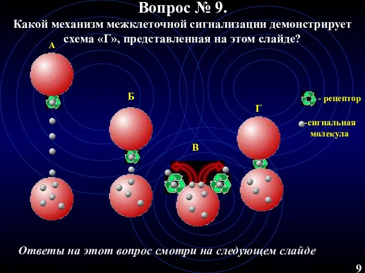 Вопрос № 9. Какой механизм межклеточной сигнализации демонстрирует схема «Г», представленная