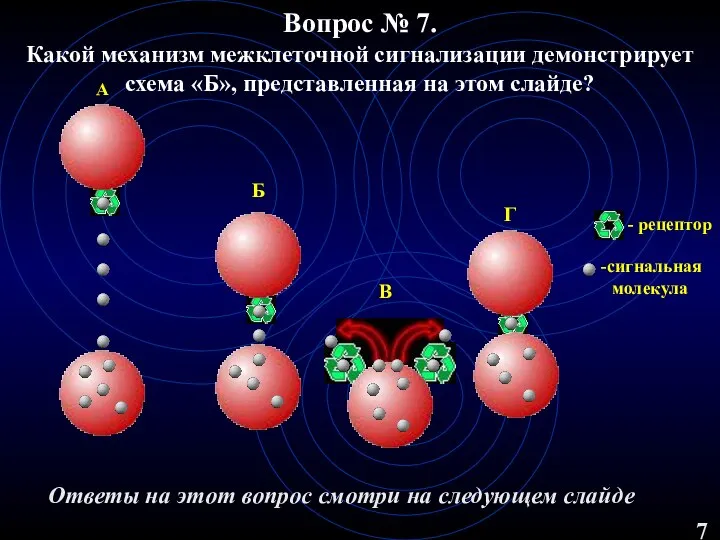 Вопрос № 7. Какой механизм межклеточной сигнализации демонстрирует схема «Б», представленная