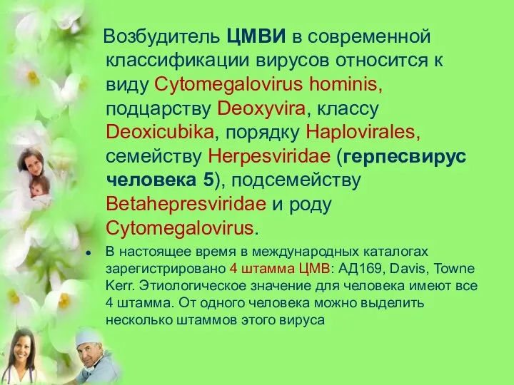 Возбудитель ЦМВИ в современной классификации вирусов относится к виду Cytomegalovirus hominis,