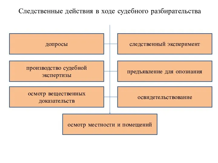 Следственные действия в ходе судебного разбирательства производство судебной экспертизы осмотр вещественных