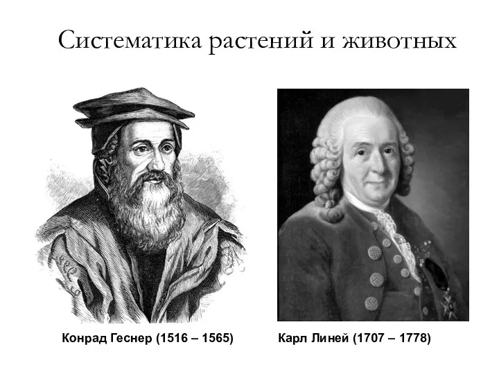 Систематика растений и животных Конрад Геснер (1516 – 1565) Карл Линей (1707 – 1778)