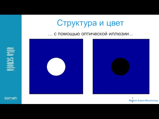 … с помощью оптической иллюзии... Структура и цвет Mèches Expert Morphology