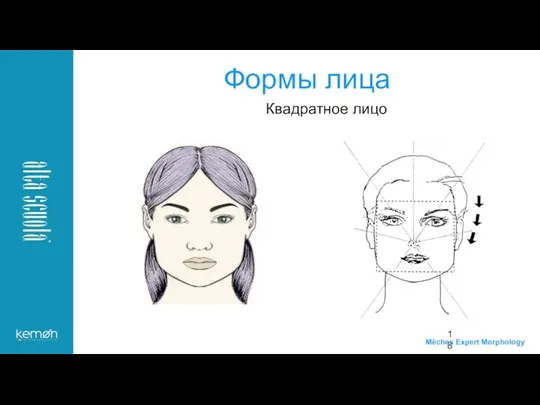 Квадратное лицо Формы лица Mèches Expert Morphology