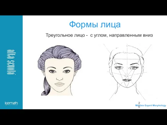 Треугольное лицо - с углом, направленным вниз Формы лица Mèches Expert Morphology