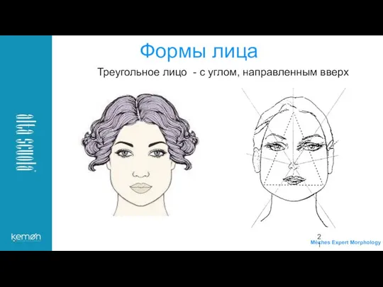 Треугольное лицо - с углом, направленным вверх Формы лица Mèches Expert Morphology