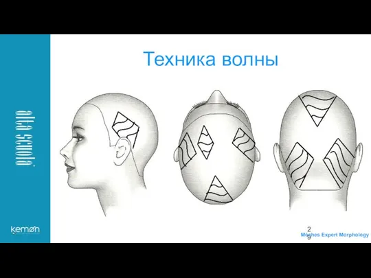 Техника волны Mèches Expert Morphology