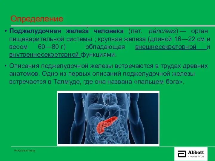 Определение Поджелудочная железа́ человека (лат. páncreas) — орган пищеварительной системы ;