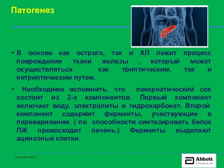 Патогенез В основе как острого, так и ХП лежит процесс повреждения