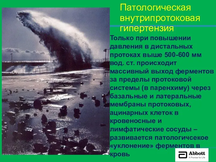 Патологическая внутрипротоковая гипертензия Только при повышении давления в дистальных протоках выше